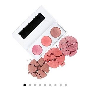 REALHER everyday Blush KIt Trio.